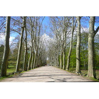 รูปถ่าย ฝรั่งเศส(France) ปราสาทเชอนงโซ(Chenonceau Castle) สวนปราสาทเชอนงโซ(Gardens of Chenonceau) 2008-04 80