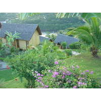 รูปถ่าย เฟรนช์โพลี่นีเซีย(Polynesia) หมู่เกาะมาร์เคซัส(Marquises) 2006-04 40