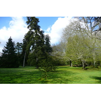 รูปถ่าย ฝรั่งเศส(France) ปราสาทเชอนงโซ(Chenonceau Castle) สวนปราสาทเชอนงโซ(Gardens of Chenonceau) 2008-04 0