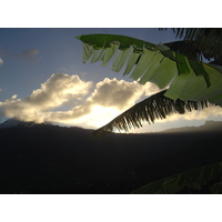 รูปถ่าย เฟรนช์โพลี่นีเซีย(Polynesia) หมู่เกาะมาร์เคซัส(Marquises) 2006-04 39