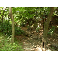 รูปถ่าย ญี่ปุ่น(Japan) โตเกียว(Tokyo) สวนชิบะ(Shiba Park) 2010-06 2