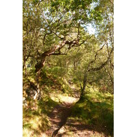 รูปถ่าย อังกฤษ(United Kingdom) สกอตแลนด์(Scotland) เซเลน(Salen) 2011-07 29