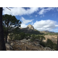 รูปถ่าย ฝรั่งเศส(France) คอร์สิคา(Corsica) ป่าลอสเปดาเล(L'ospedale Forest) 2017-09 6