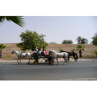รูปถ่าย โมร็อกโก(Morocco) เม็กเนส(Meknes) 2008-07 51