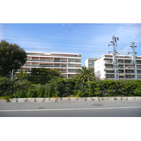 รูปถ่าย ฝรั่งเศส(France) ม็องเดอลีเยอ(Mandelieu) 2008-03 23