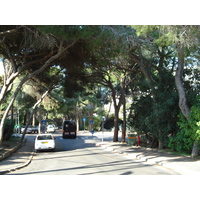 รูปถ่าย อิสราเอล(Israel) ไฮฟา(Haifa) คาร์เมล(Carmel) 2006-12 69