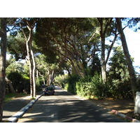 รูปถ่าย อิสราเอล(Israel) ไฮฟา(Haifa) คาร์เมล(Carmel) 2006-12 60