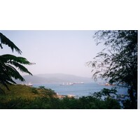 รูปถ่าย เวียดนาม(Vietnam) 1996-03 35
