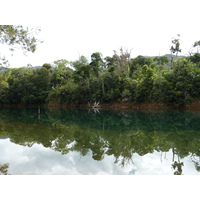 รูปถ่าย นิวแคลิโดเนีย(New Caledonia) อุทยานริเวียร์เบลอ(Parc de la Riviere Bleue) 2010-05 150