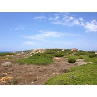 รูปถ่าย อิตาลี(Italy) ซาร์ดิเนีย(Sardinia) แหลมกาโปเดลฟัลโกเน(Capo del Falcone) 2015-06 56