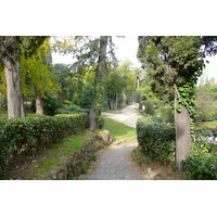 รูปถ่าย อิตาลี(Italy) โรม(Rome) วิลลาชาร์รา(Villa Sciarra) 2007-11 48