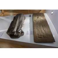 รูปถ่าย อังกฤษ(United Kingdom) สกอตแลนด์(Scotland) แอบบีอาร์โบรท(Arbroath Abbey) 2011-07 33