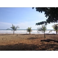 รูปถ่าย คอสตาริกา(Costa Rica) โดมินิกัล(Dominical) 2015-03 35