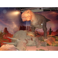 รูปถ่าย ฝรั่งเศส(France) ปารีส(Paris) ปาเลเดอลาเดกูแวร์ต(Palace of Discovery) 2006-04 43