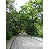 รูปถ่าย ฝรั่งเศส(France) ปารีส(Paris) สวนบุต-โชมง(Parc des Buttes Chaumont) 2007-08 1