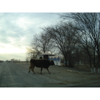รูปถ่าย คาซัคสถาน(Kazakhstan) ถนนจากอัลมาตีไปหุบผาชารึน(Almaty to Charyn Canyon road) 2007-03 90