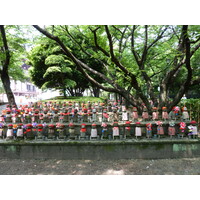 รูปถ่าย ญี่ปุ่น(Japan) โตเกียว(Tokyo) สวนชิบะ(Shiba Park) 2010-06 9