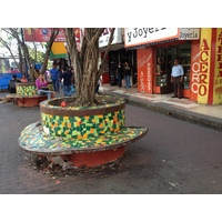รูปถ่าย ปานามา(Panama) ปานามาซิตี(Panama City) 2015-03 225