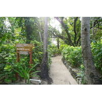 รูปถ่าย ฟิจิ(Fiji) เกาะบีชโคมเบอร์(Beachcomber Island) 2010-05 50