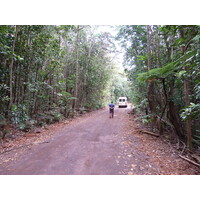 รูปถ่าย นิวแคลิโดเนีย(New Caledonia) อุทยานริเวียร์เบลอ(Parc de la Riviere Bleue) 2010-05 1