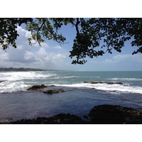 รูปถ่าย คอสตาริกา(Costa Rica) กาอุยตา(Cahuita) 2015-03 72