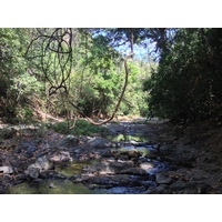 รูปถ่าย คอสตาริกา(Costa Rica) มอนเตซูมา(Montezuma) 2015-03 194
