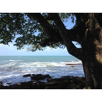 รูปถ่าย คอสตาริกา(Costa Rica) กาอุยตา(Cahuita) 2015-03 15