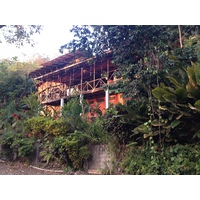 รูปถ่าย คอสตาริกา(Costa Rica) มานวยล์อันโตนีโอ(Manuel Antonio) 2015-03 463