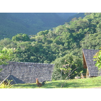 รูปถ่าย เฟรนช์โพลี่นีเซีย(Polynesia) หมู่เกาะมาร์เคซัส(Marquises) 2006-04 140