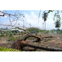 รูปถ่าย ไทย(Thailand) จอมเทียน(Jomtien) ซอยบุญกาญจนา 4(Boonkanjana soi 4) 2008-01 1