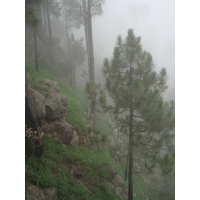รูปถ่าย ปากีสถาน(Pakistan) มืร์รี(Murree) 2006-08 40