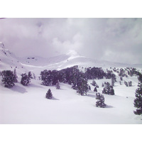 รูปถ่าย สวิสเซอร์แลนด์(Switzerland) กรินเดลวัลด์(Grindelwald) 1999-04 17