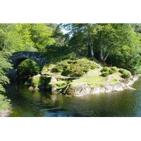 รูปถ่าย อังกฤษ(United Kingdom) สกอตแลนด์(Scotland) เซเลน(Salen) 2011-07 59