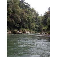 รูปถ่าย คอสตาริกา(Costa Rica) แม่น้ำปากัวเร(Pacuare River) 2015-03 150
