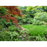 รูปถ่าย ญี่ปุ่น(Japan) โตเกียว(Tokyo) พิพิธภัณฑ์เนซุ(Nezu Museum) 2010-06 49