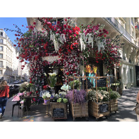 รูปถ่าย ฝรั่งเศส(France) ปารีส(Paris) แซ็งวาลีด(Invalides) 2020-06 5