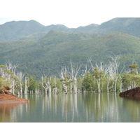 รูปถ่าย นิวแคลิโดเนีย(New Caledonia) อุทยานริเวียร์เบลอ(Parc de la Riviere Bleue) 2010-05 16