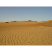 รูปถ่าย สหรัฐอาหรับเอมิเรตส์(United Arab Emirates) จากดูไบไปถนนอัลอิน(Dubai to Al Ain road) 2005-03 55