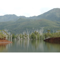 รูปถ่าย นิวแคลิโดเนีย(New Caledonia) อุทยานริเวียร์เบลอ(Parc de la Riviere Bleue) 2010-05 3