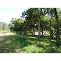 รูปถ่าย นิวแคลิโดเนีย(New Caledonia) ถนนจากทีโอไปกานาลา(Thio to Canala road) 2010-05 43