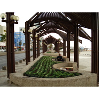 รูปถ่าย อิสราเอล(Israel) เทลอาวีฟ(Tel Aviv) ชายหาดเทลอาวีฟ(Tel Aviv Sea Shore) 2006-12 225