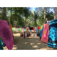 รูปถ่าย คอสตาริกา(Costa Rica) โดมินิกัล(Dominical) 2015-03 36