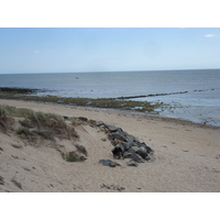 รูปถ่าย ฝรั่งเศส(France) นีวร์มูทีเย(Noirmoutier) 2006-08 10