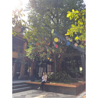 รูปถ่าย ไทย(Thailand) เชียงใหม่(Chiang Mai) หมู่บ้านคาล์ม(KALM Village) 2024-12 38