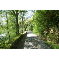 รูปถ่าย อังกฤษ(United Kingdom) สกอตแลนด์(Scotland) เซเลน(Salen) 2011-07 79