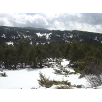 รูปถ่าย ฝรั่งเศส(France) เกรโอลีแยร์(Greolieres) 2006-02 46