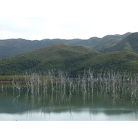 รูปถ่าย นิวแคลิโดเนีย(New Caledonia) 2010-05 42