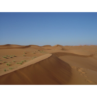 รูปถ่าย สหรัฐอาหรับเอมิเรตส์(United Arab Emirates) จากดูไบไปถนนอัลอิน(Dubai to Al Ain road) 2005-03 68