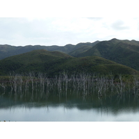 รูปถ่าย นิวแคลิโดเนีย(New Caledonia) อุทยานริเวียร์เบลอ(Parc de la Riviere Bleue) 2010-05 54