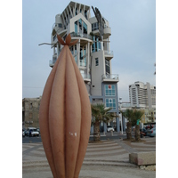 รูปถ่าย อิสราเอล(Israel) เทลอาวีฟ(Tel Aviv) ชายหาดเทลอาวีฟ(Tel Aviv Sea Shore) 2006-12 133